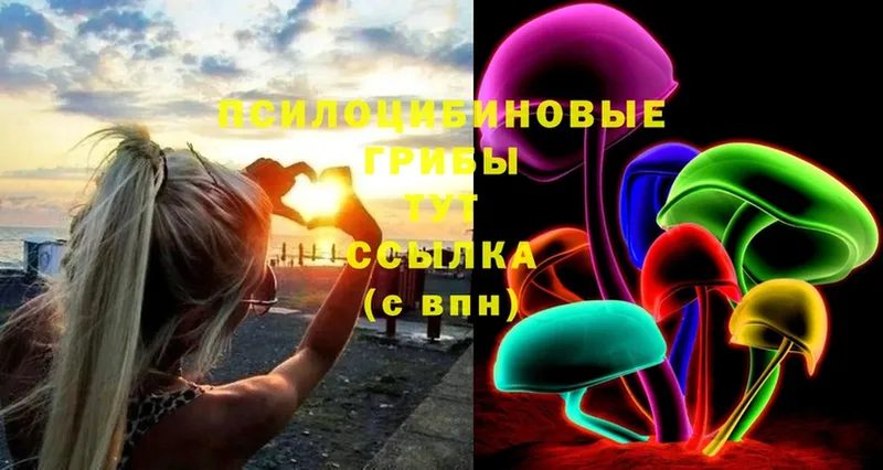 это клад  Энем  Галлюциногенные грибы ЛСД 